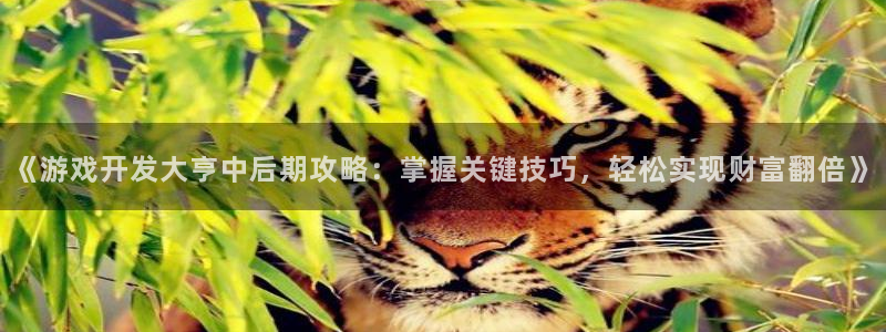 沐鸣娱乐2电脑版：《游戏开发大亨中后期攻略：掌握关键技巧，轻松实现财富翻倍》