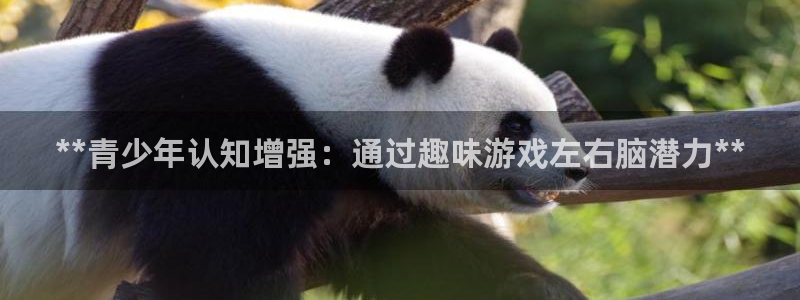 沐鸣2平台官网：**青少年认知增强：通过趣味游戏左右脑潜力**