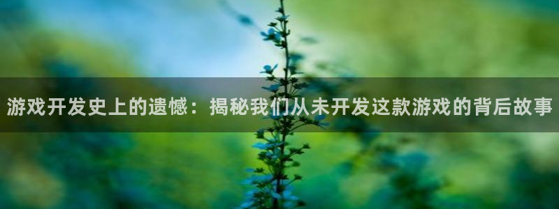 沐鸣2注册首页：游戏开发史上的遗憾：揭秘我们从未开发这款游戏的背后故事