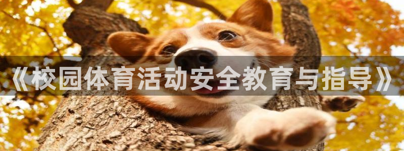 77体育