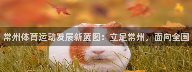 77体育：常州体育运动发展新蓝图：立足常州，面向全国
