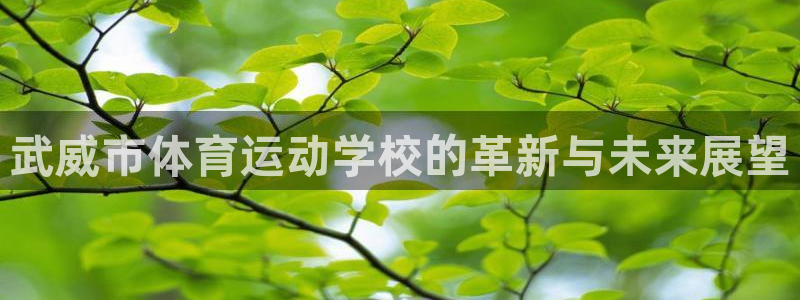 皇冠277体育：武威市体育运动学校的革新与未来展望