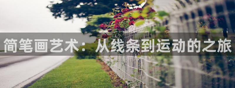皇冠277体育：简笔画艺术：从线条到运动的之旅