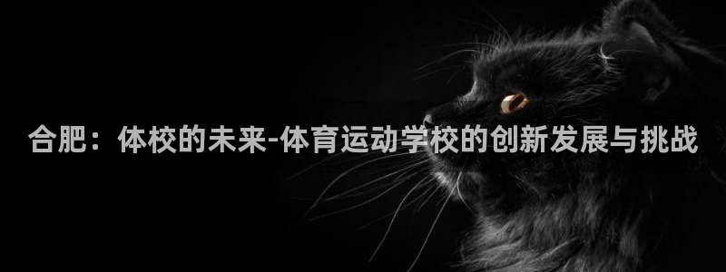 77体育官网：合肥：体校的未来-体育运动学校的创新发展与挑战