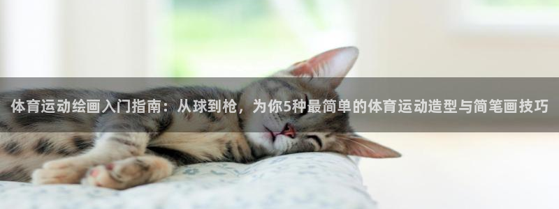 77体育官网：体育运动绘画入门指南：从球到枪，为你5种最简单的体育运动造型与简笔画技巧