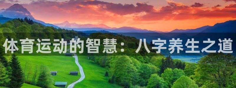 77体育官网：体育运动的智慧：八字养生之道