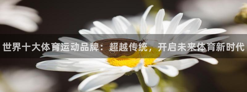 77体育：世界十大体育运动品牌：超越传统，开启未来体育新时代