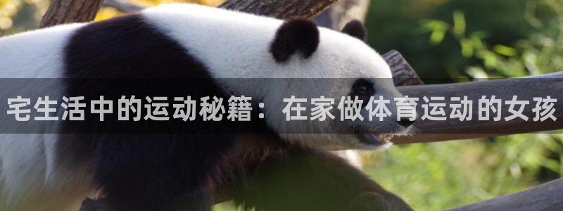 77体育官网：宅生活中的运动秘籍：在家做体育运动的女孩