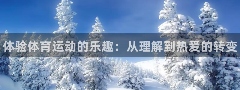 77体育官网：体验体育运动的乐趣：从理解到热爱的转变