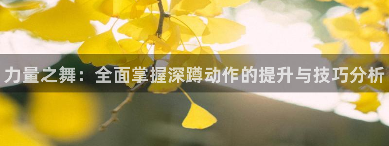 77体育app下载官网：力量之舞：全面掌握深蹲动作的提升与技巧分析