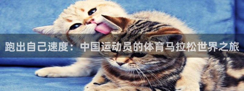 皇冠277体育