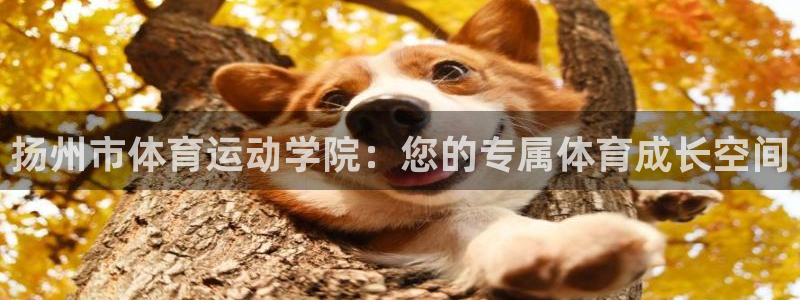 皇冠277体育