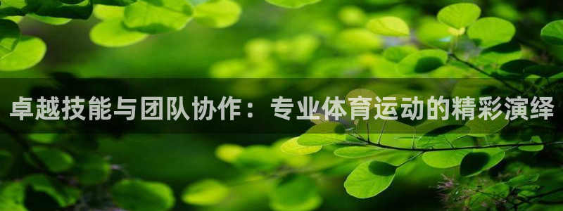 77体育：卓越技能与团队协作：专业体育运动的精彩演绎