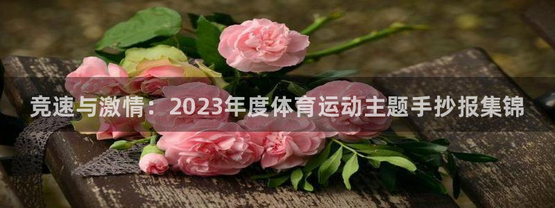 77体育app下载官网：竞速与激情：2023年度体育运动主题手抄报集锦