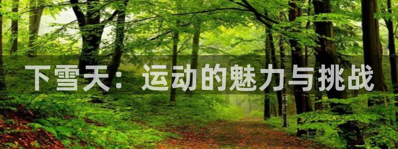 皇冠277体育：下雪天：运动的魅力与挑战