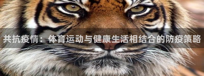 77体育app下载官网