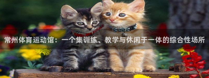 77体育：常州体育运动馆：一个集训练、教学与休闲于一体的综合性场所