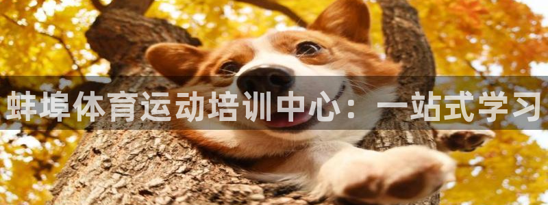 皇冠277体育：蚌埠体育运动培训中心：一站式学习