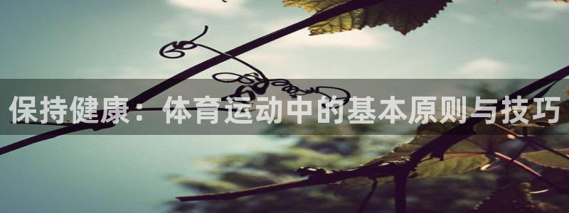77体育：保持健康：体育运动中的基本原则与技巧