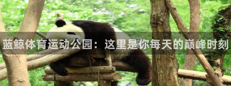 皇冠277体育：蓝鲸体育运动公园：这里是你每天的巅峰时刻