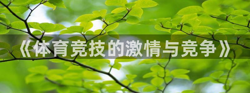 皇冠277体育：《体育竞技的激情与竞争》