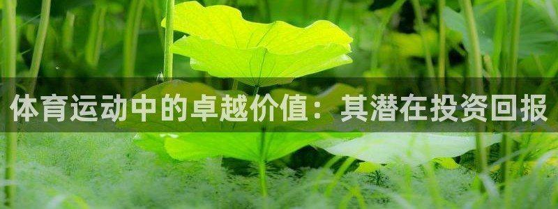 77体育app下载官网：体育运动中的卓越价值：其潜在投资回报