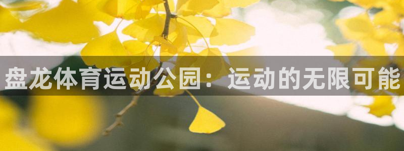 77体育app下载官网：盘龙体育运动公园：运动的无限可能