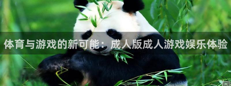77体育：体育与游戏的新可能：成人版成人游戏娱乐体验