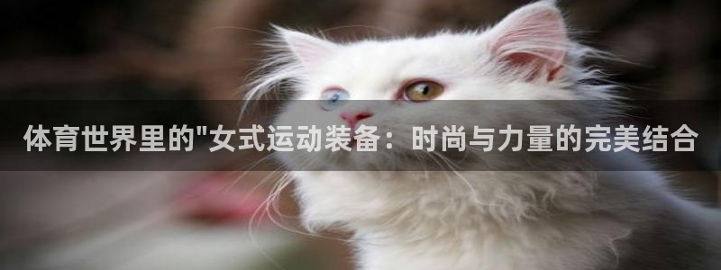 77体育