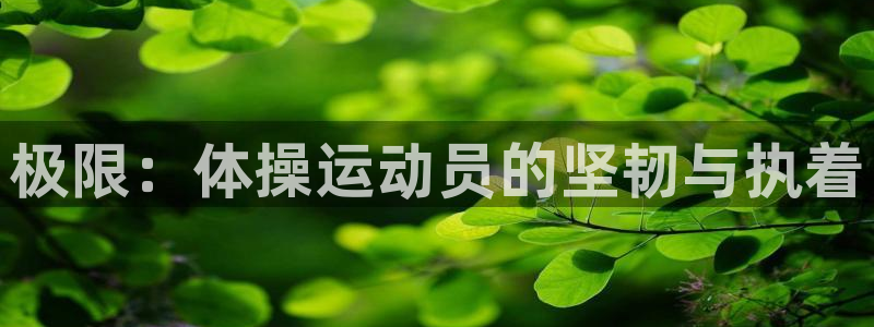 77体育官网：极限：体操运动员的坚韧与执着