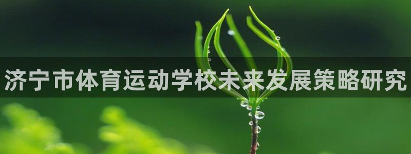 77体育：济宁市体育运动学校未来发展策略研究