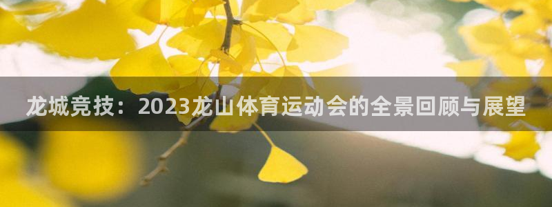 77体育