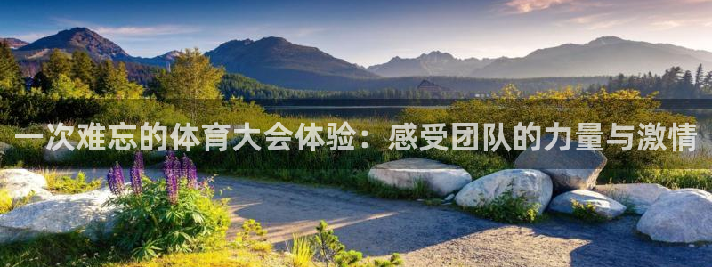 77体育app下载官网：一次难忘的体育大会体验：感受团队的力量与激情