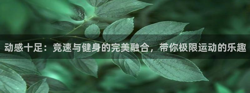 77体育app下载官网：动感十足：竞速与健身的完美融合，带你极限运动的乐趣