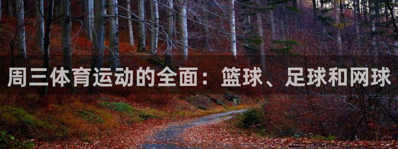 77体育官网：周三体育运动的全面：篮球、足球和网球