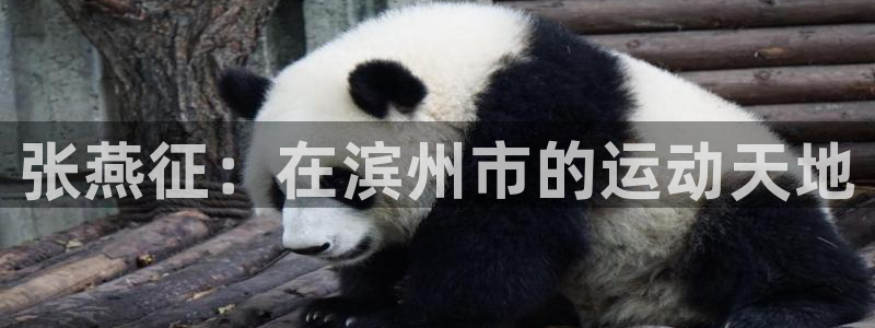 皇冠277体育