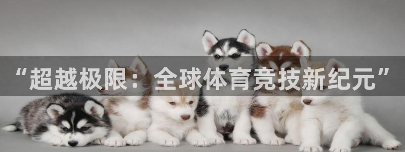 皇冠277体育：“超越极限：全球体育竞技新纪元”