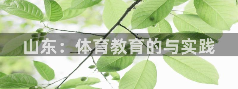 皇冠277体育：山东：体育教育的与实践