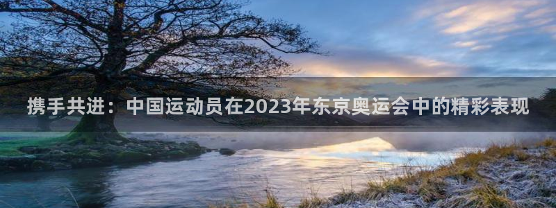 皇冠277体育：携手共进：中国运动员在2023年东京奥运会中的精彩表现