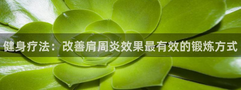 77体育官网