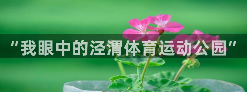 77体育app下载官网：“我眼中的泾渭体育运动公园”