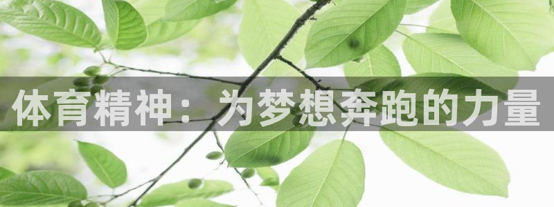 77体育app下载官网