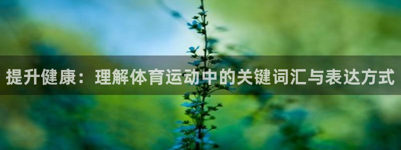 77体育官网：提升健康：理解体育运动中的关键词汇与表达方式